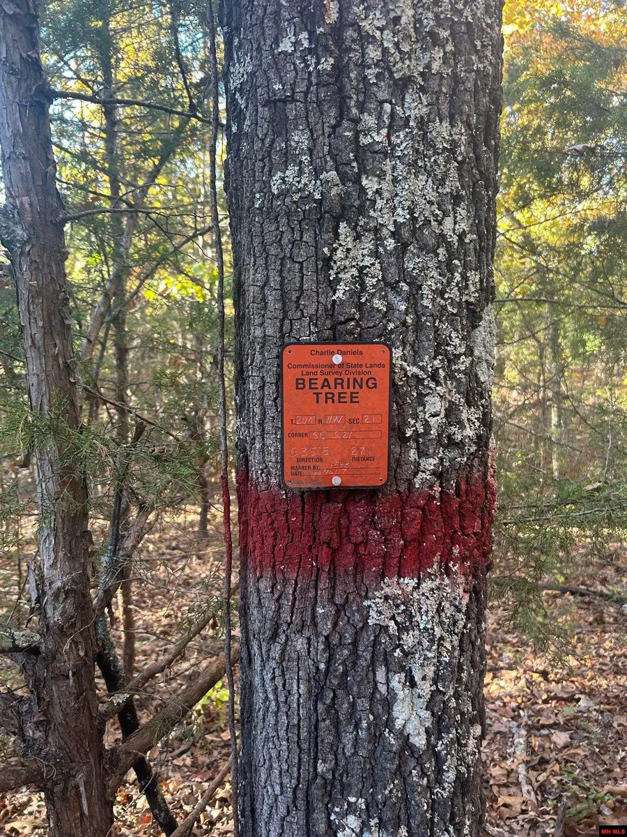 001-00749-000 CR 146, Henderson, AR 72544 - #3