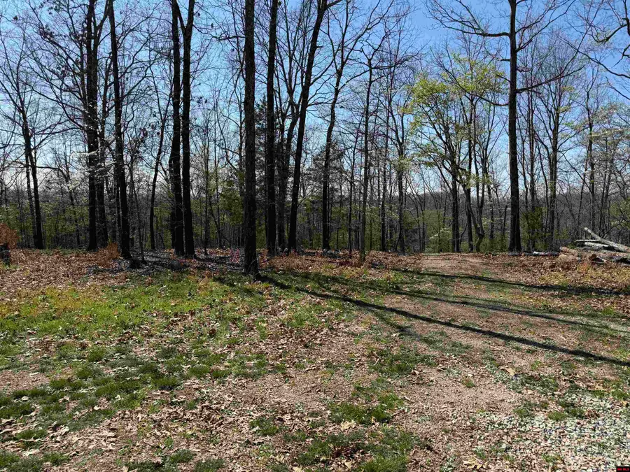 196 DRAYTON TRAIL, Oakland, AR 72661 - #3