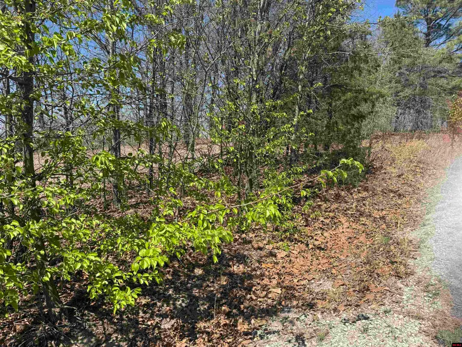 Lots 23 & 24 OAK SUMMIT DRIVE, Mountain Home, AR 72653 - #2