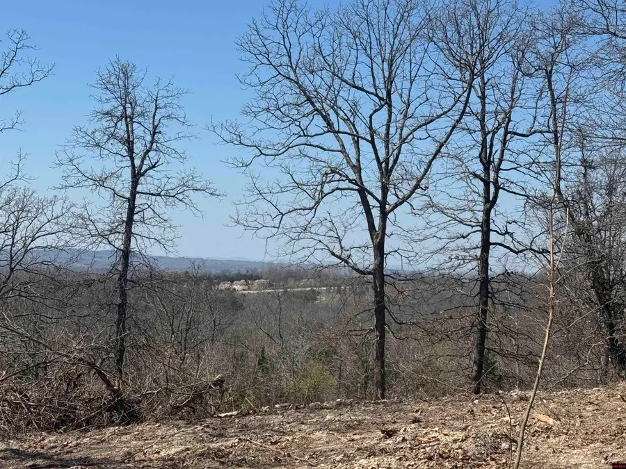Lots 23 & 24 OAK SUMMIT DRIVE, Mountain Home, AR 72653 - #3