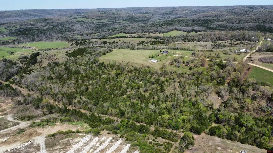 001-08289-005 DEER MEADOWS LANE, Yellville, AR 72687 - #2