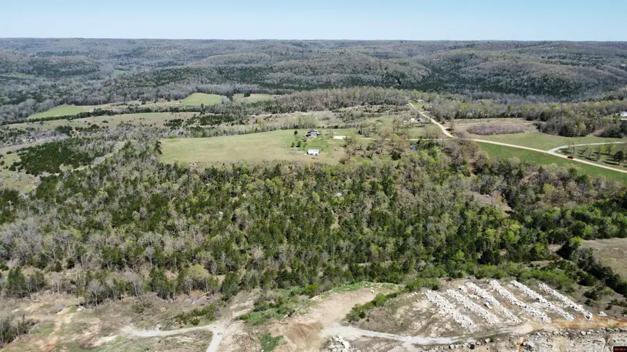 001-08289-005 DEER MEADOWS LANE, Yellville, AR 72687 - #3