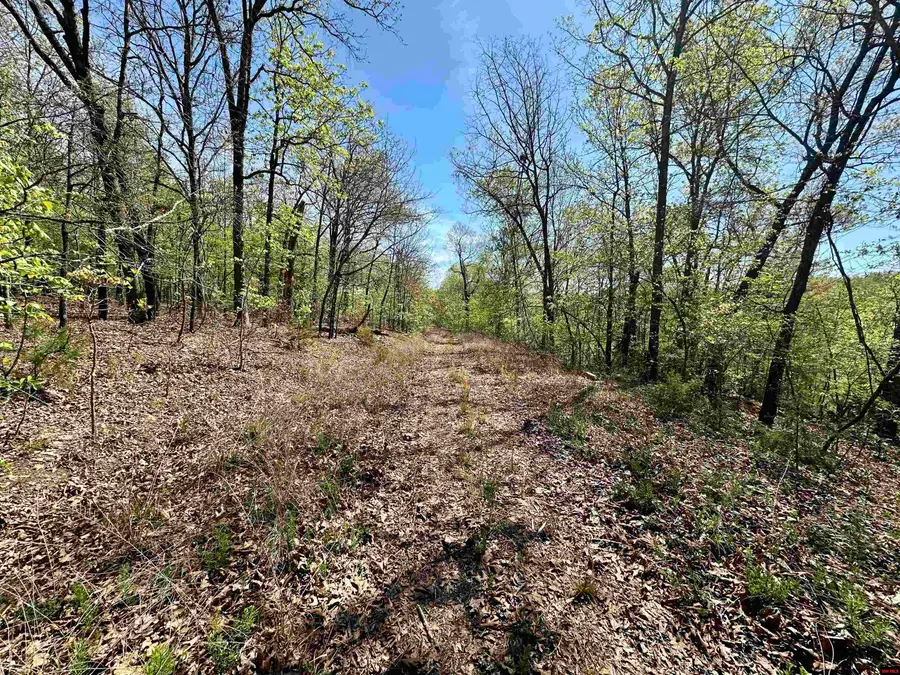 002-1066-000 HOMESTEAD LANE, Cotter, AR 72626 - #2