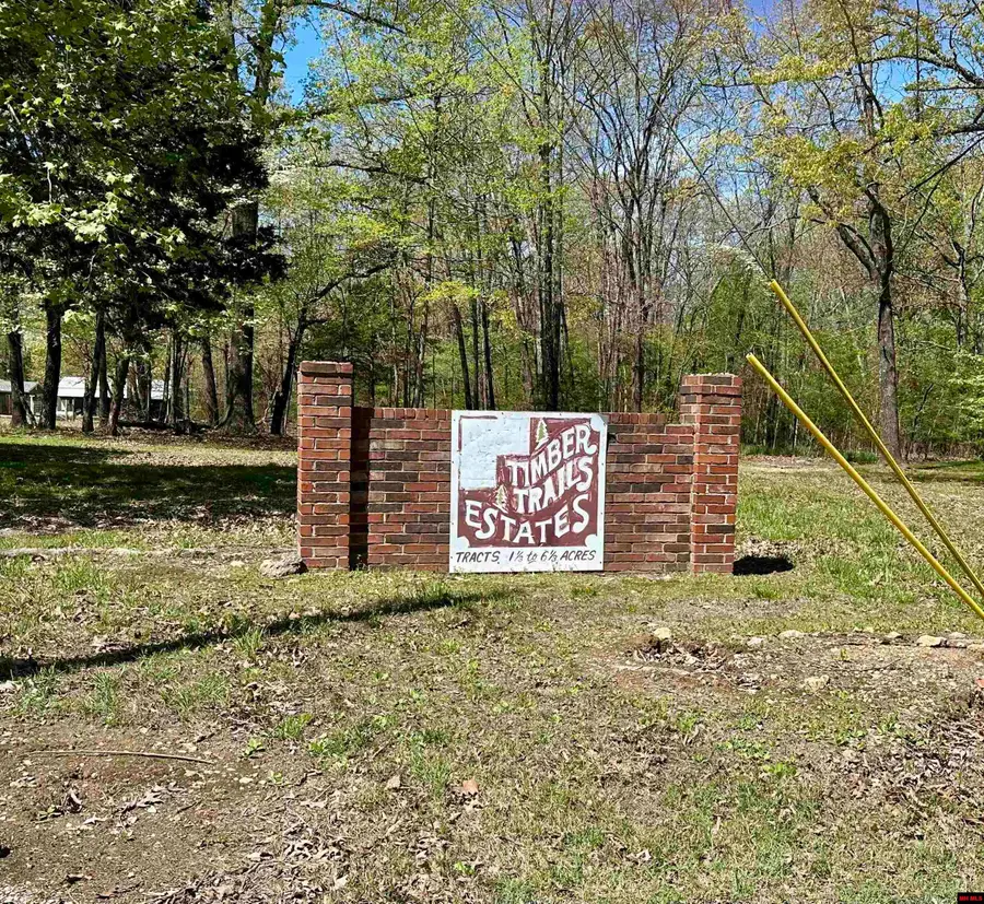 002-1066-000 HOMESTEAD LANE, Cotter, AR 72626 - #3