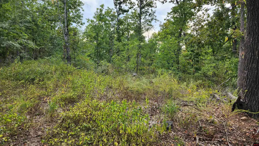 6901 MC 6061, Flippin, AR 72634 - #3