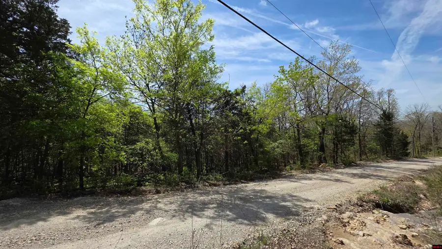 165 MC 3061, Yellville, AR 72687 - #2