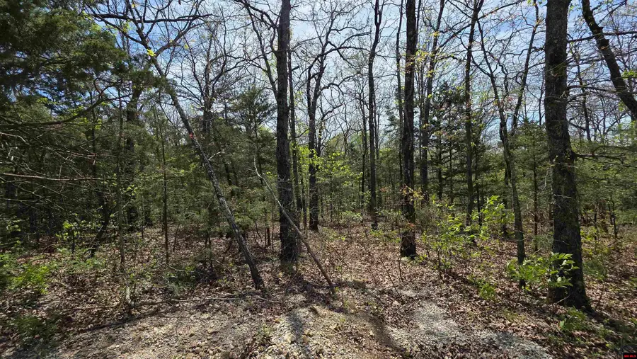 165 MC 3061, Yellville, AR 72687 - #3