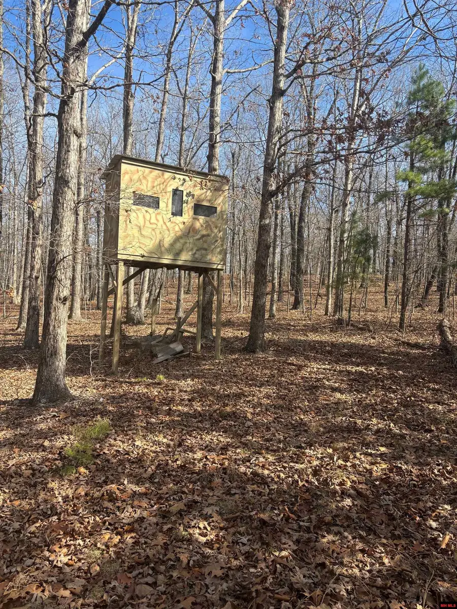 819 MC 3057, Yellville, AR 72687 - #2