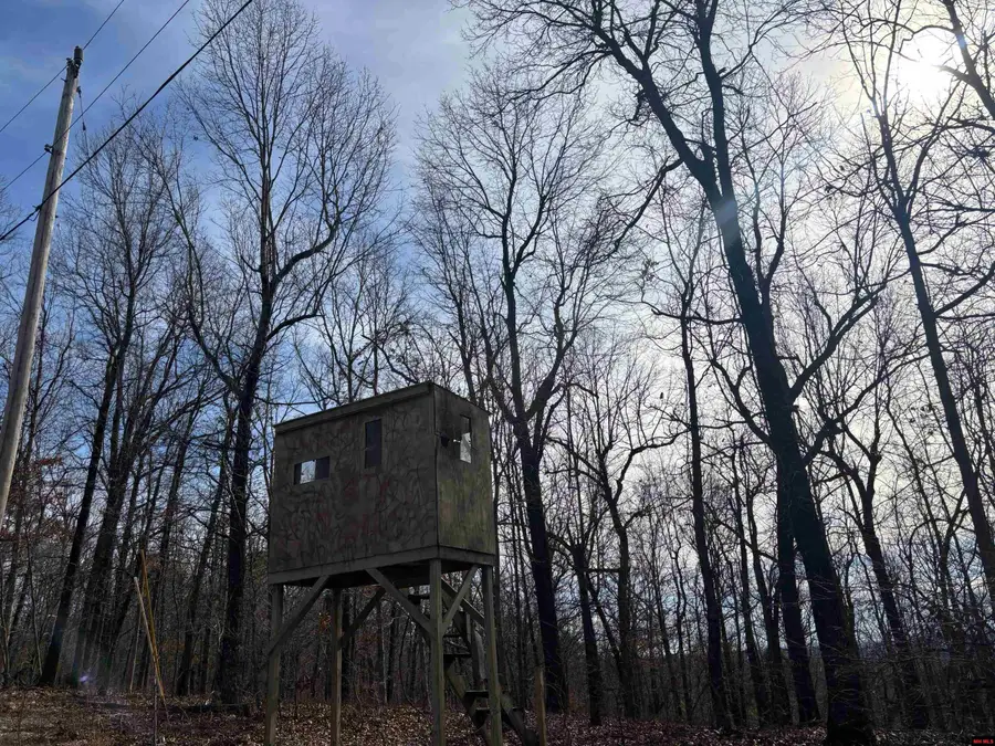 819 MC 3057, Yellville, AR 72687 - #3