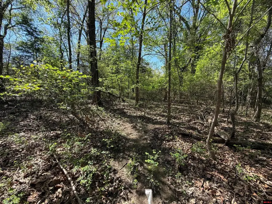 22 BIG TREE COURT, Elizabeth, AR 72531 - #3