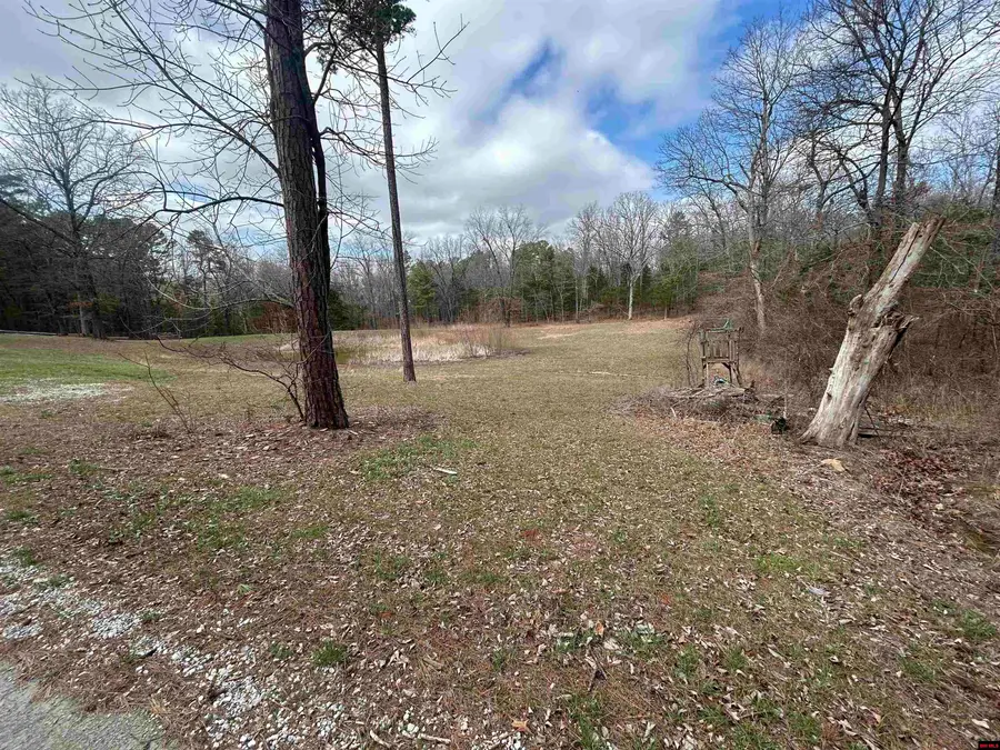 125-00023-000 MC 6025, Yellville, AR 72687 - #2