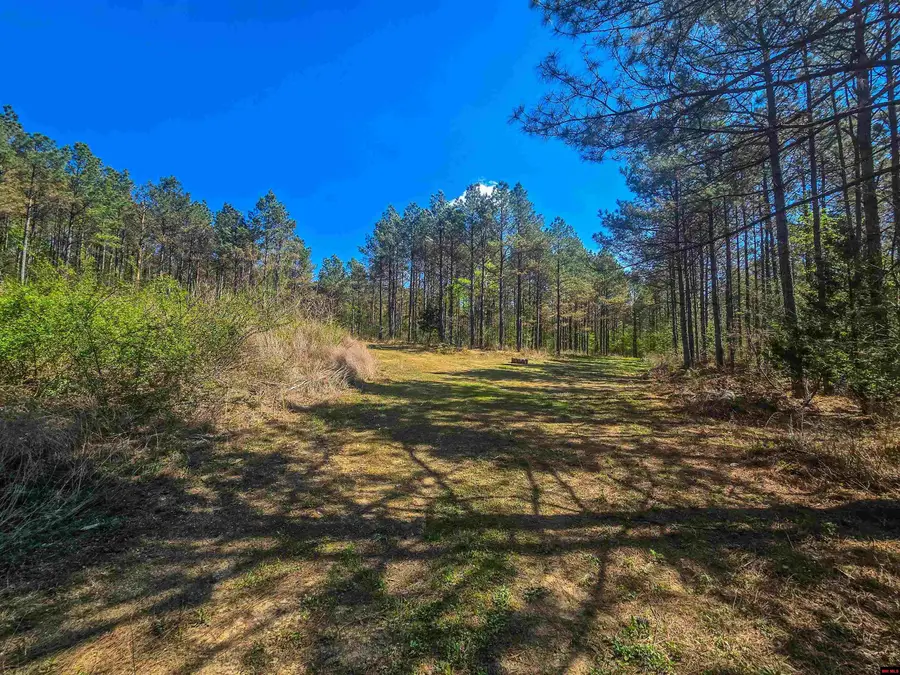 001-06196-000 CAMPBELL ROAD, Bonnerdale, AR 71933 - #3