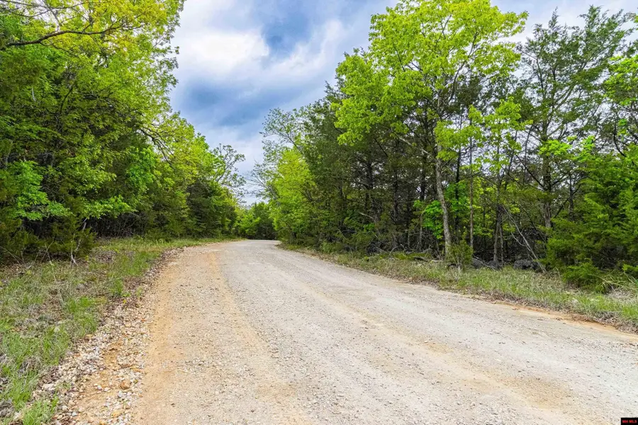 001-03122-000 MC 125, Oakland, AR 72661 - #3