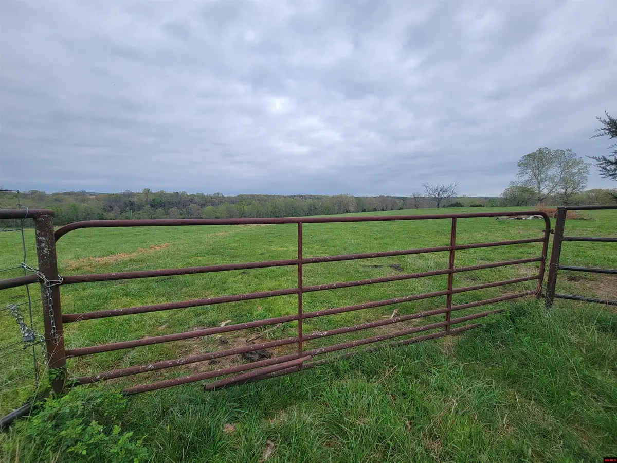 041102000000012 HWY 95, Barren Fork, AR 65773 - #1