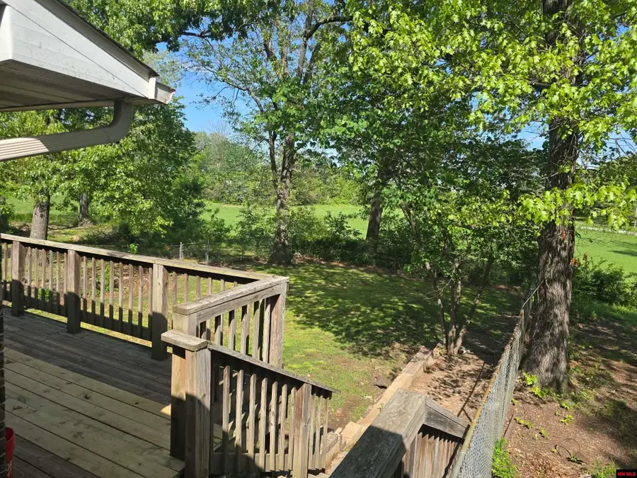 101 WILDCAT SHOALS ROAD, Gassville, AR 72635 - #3