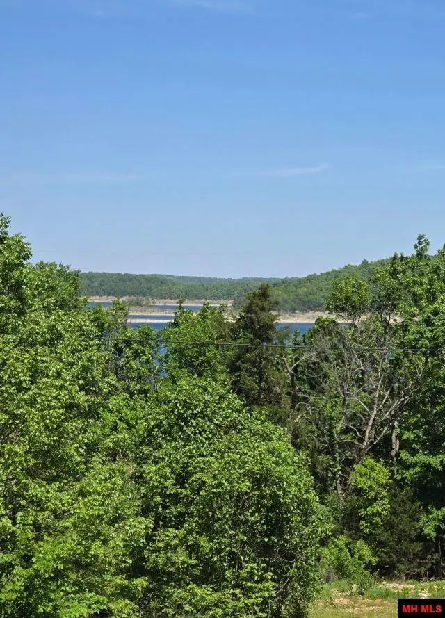 117 FERNCLIFF POINT, Bull Shoals, AR 72619 - #3
