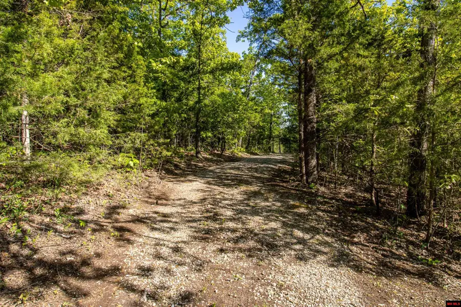 002-02964-000 CR 476, Clarkridge, AR 72623 - #2