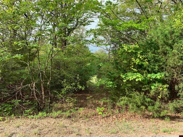 007-00626-048 ASCENSION DRIVE, Mountain Home, AR 72653