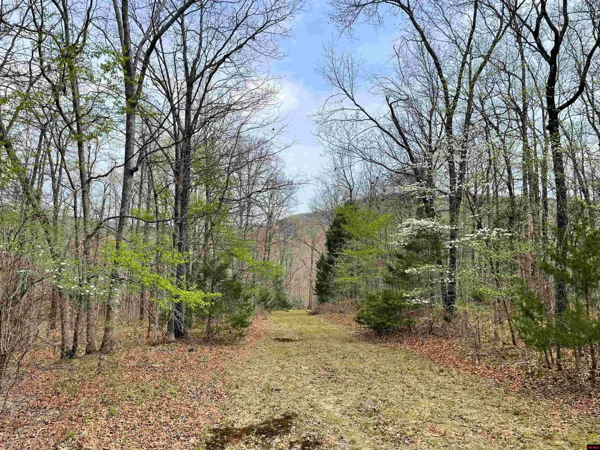 022-08412-000 CR 921, Alpena, AR 72611 - #1