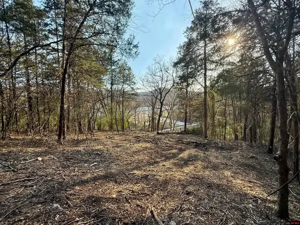 004-00632-000 HWY 345, Cotter, AR 72626