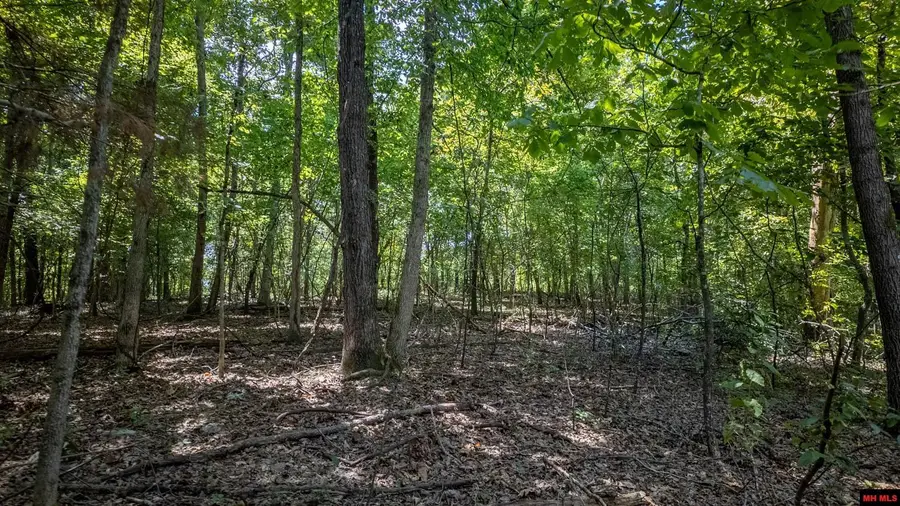 Lot 13 & 14 RIVERBEND ROAD, Mammoth Spring, AR 72554 - #3