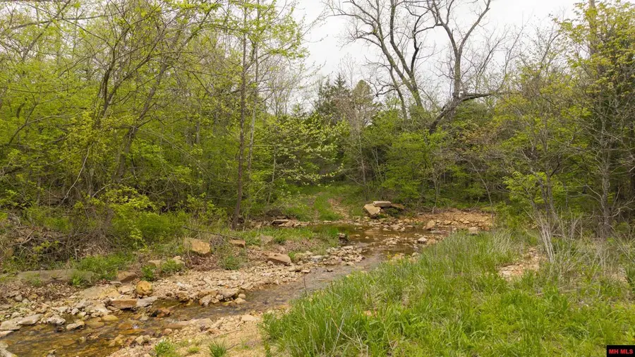 84-13-2-0-03-0- CROOKED CREEK ROAD, Hartville, MO 65667 - #3