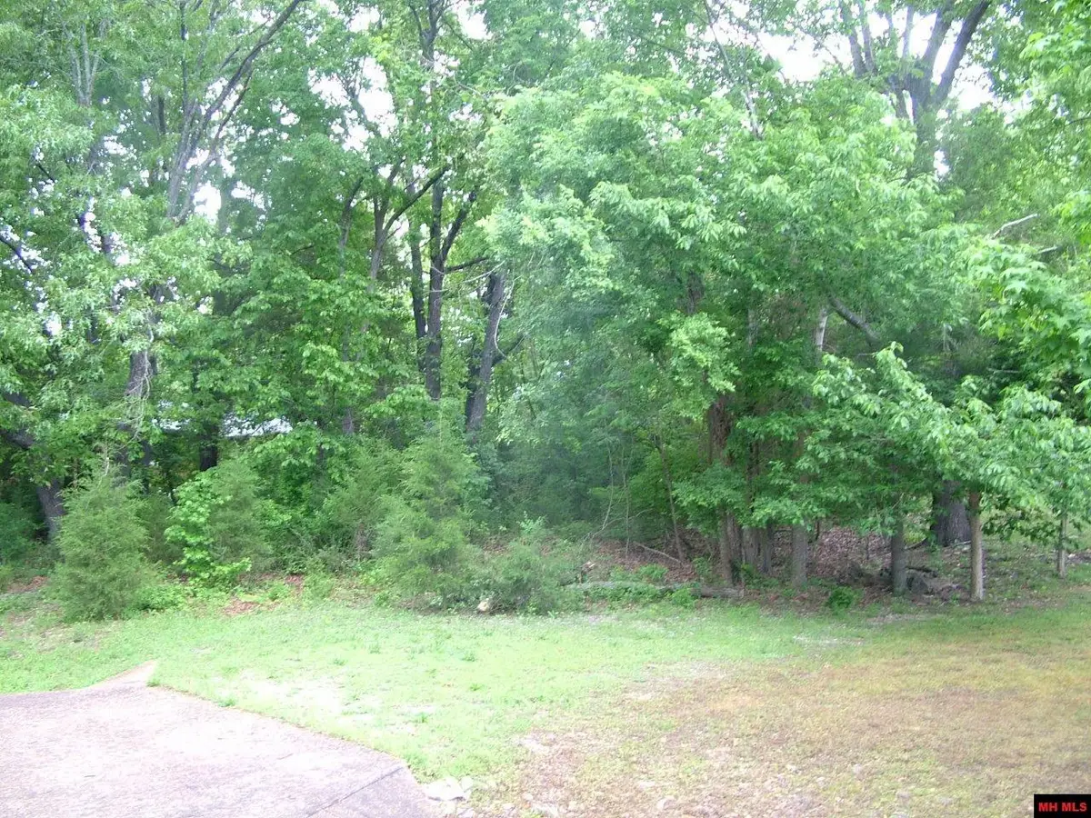 007-01929-508 FRANKLIN AVENUE, Mountain Home, AR 72653 - #1