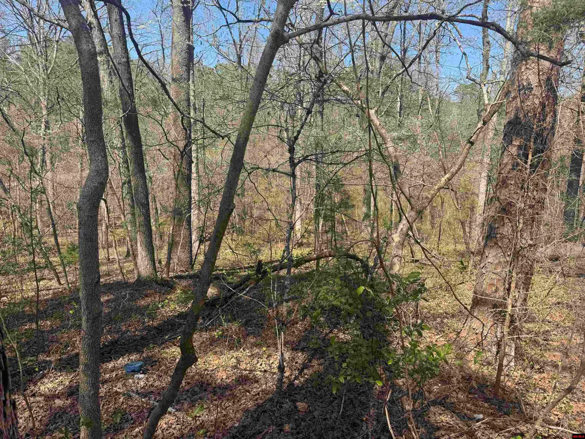 HWY 177, Salesville, AR 72653 - #1