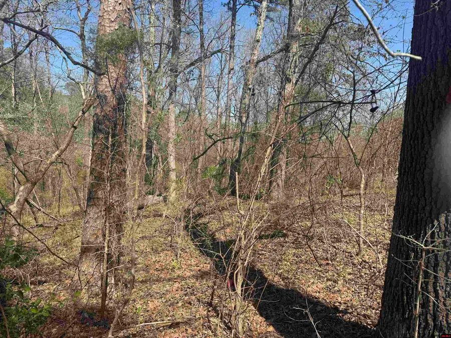 HWY 177, Salesville, AR 72653 - #2