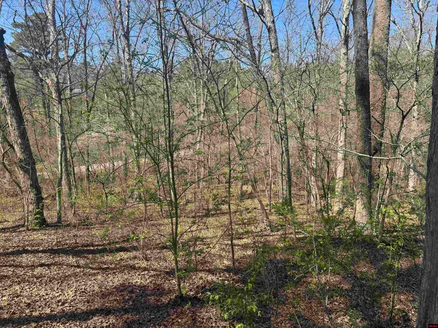 HWY 177, Salesville, AR 72653 - #3