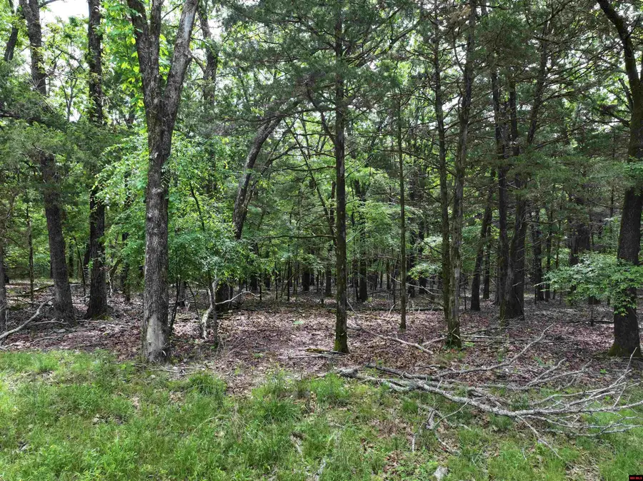 019-02865-000 TIMBER SHOALS ROAD, Cedar Creek, MO 65627 - #2