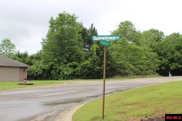 760 25327 000 SPRINGFLOWER STREET, Bull Shoals, AR 72619 - #3