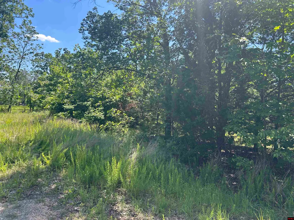 002-02617-000 CR 577, Mountain Home, AR 72653 - #1