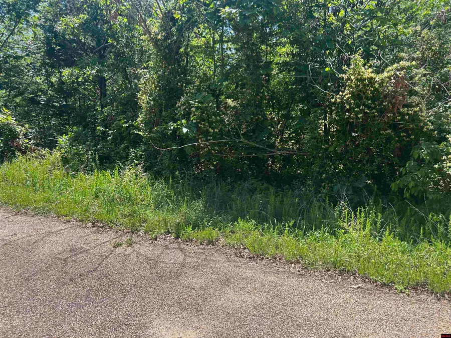 002-02617-000 CR 577, Mountain Home, AR 72653 - #2