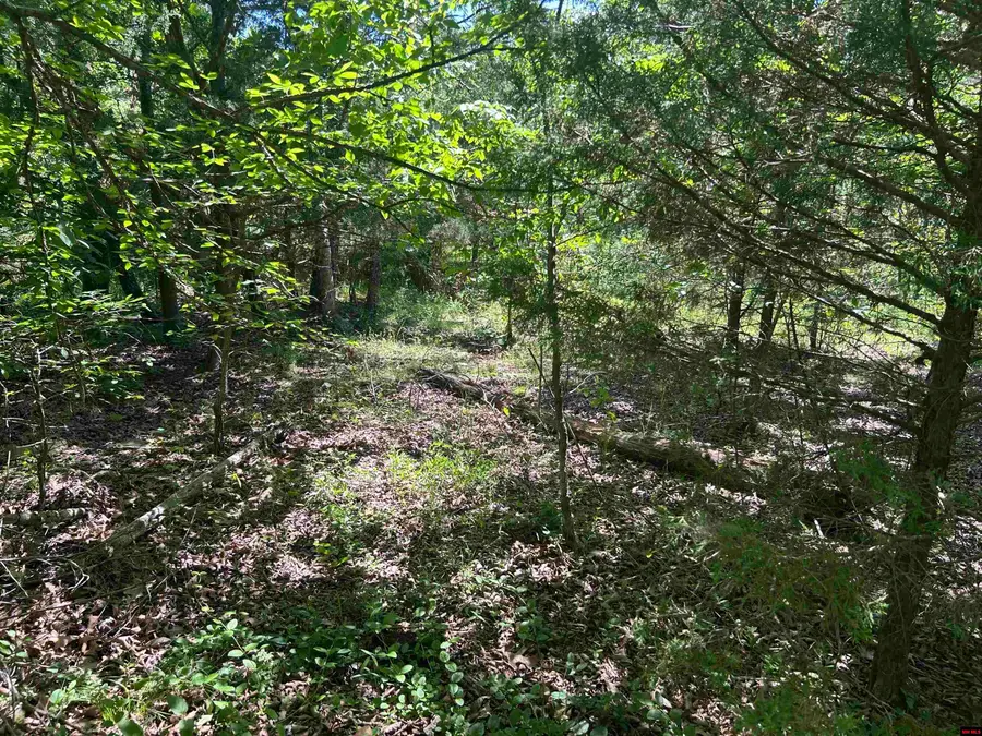 002-02617-000 CR 577, Mountain Home, AR 72653 - #3