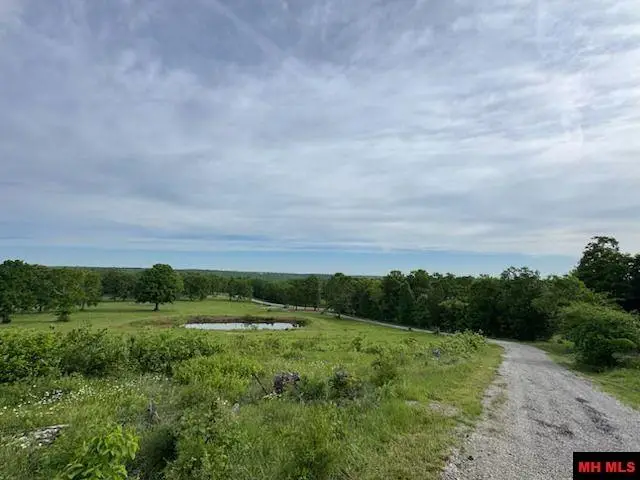 1979 OLD TRACY ROAD, Mountain Home, AR 72653 - #3