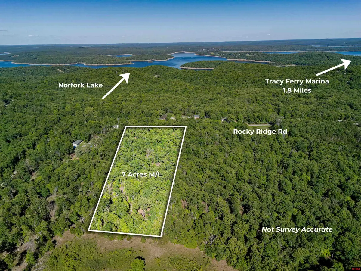 Tract 1 ROCKY RIDGE ROAD, Mountain Home, AR 72653 - #1