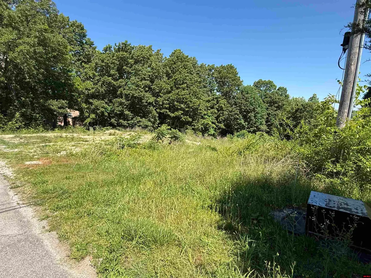 002-04235-000 WAYNE DRIVE, Lakeview, AR 72642 - #1