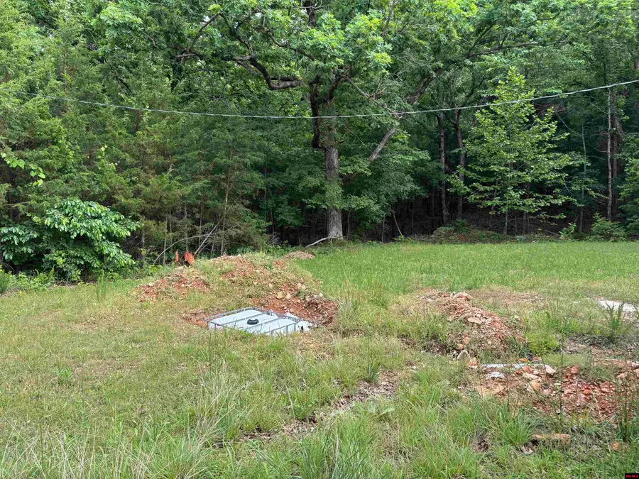 4886 MC 2059, Yellville, AR 72687 - #3