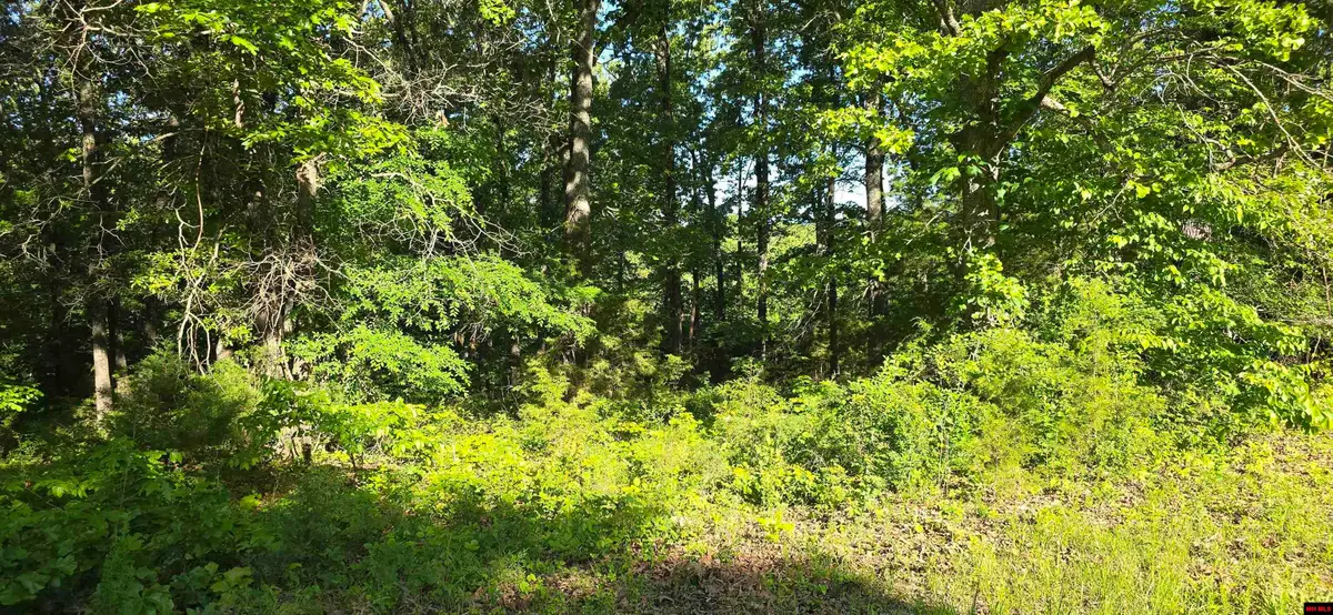 Lot 25 LAKEPOINTE DRIVE, Flippin, AR 72634 - #1
