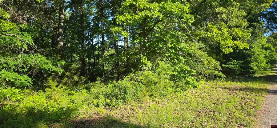 Lot 25 LAKEPOINTE DRIVE, Flippin, AR 72634 - #3