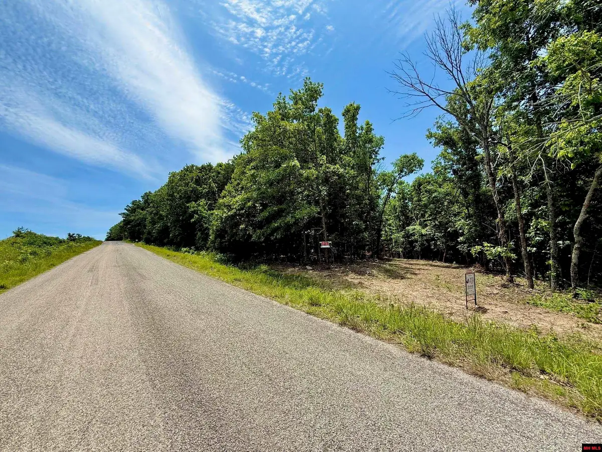001-04658-003 SHIPPS FERRY ROAD, Mountain Home, AR 72653 - #1