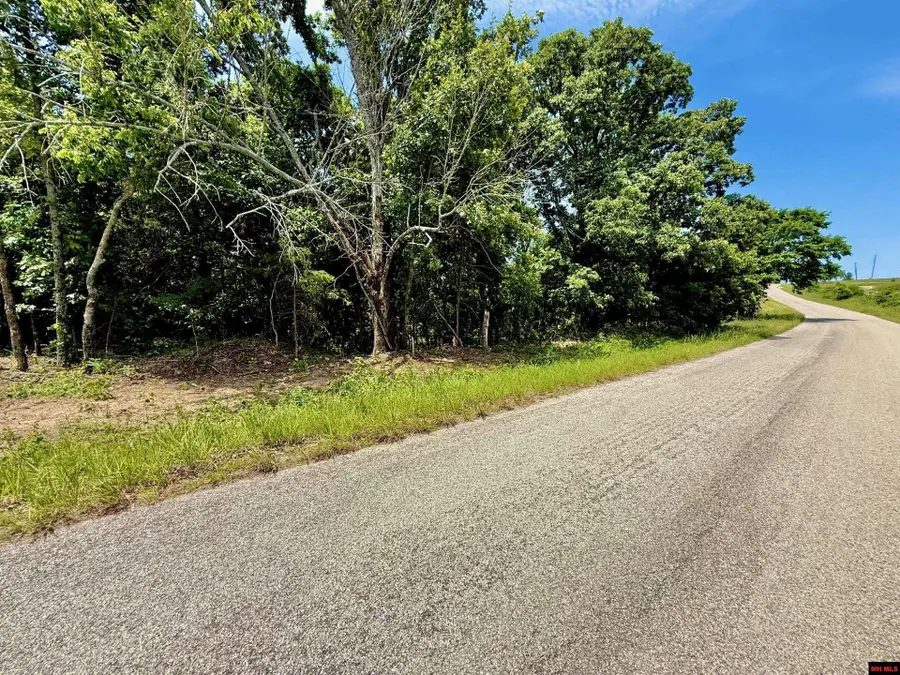 001-04658-003 SHIPPS FERRY ROAD, Mountain Home, AR 72653 - #2