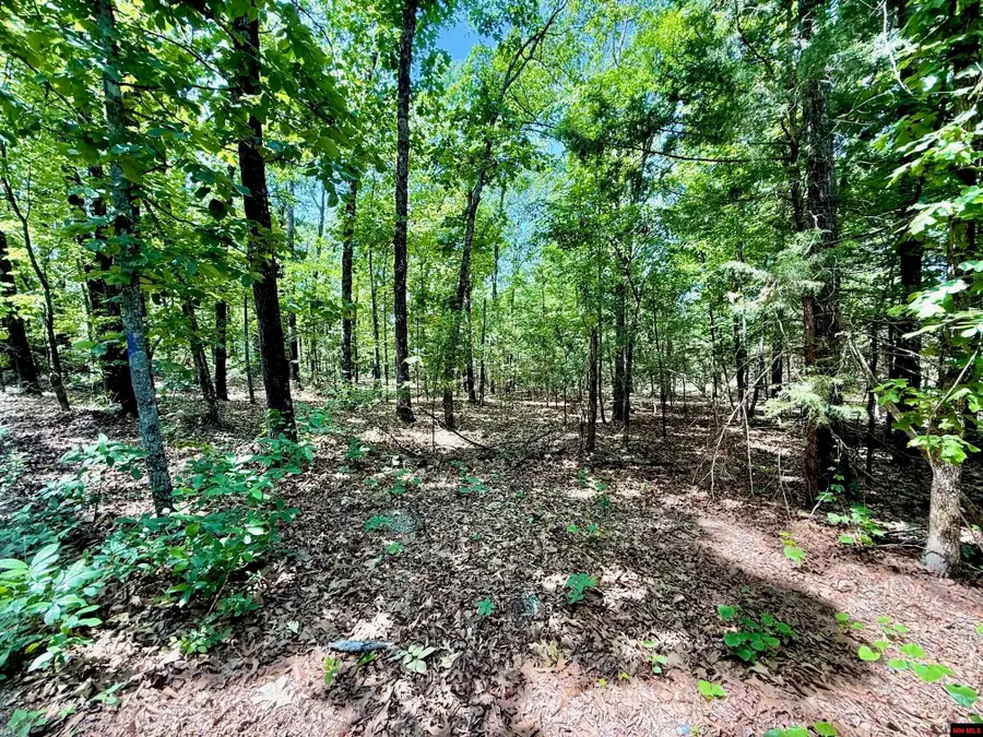 001-04658-003 SHIPPS FERRY ROAD, Mountain Home, AR 72653 - #3