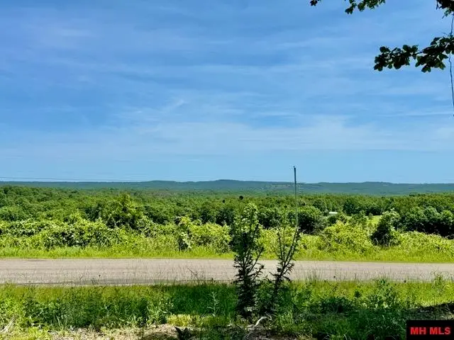 001-04658-003 SHIPPS FERRY ROAD, Mountain Home, AR 72653 - #3