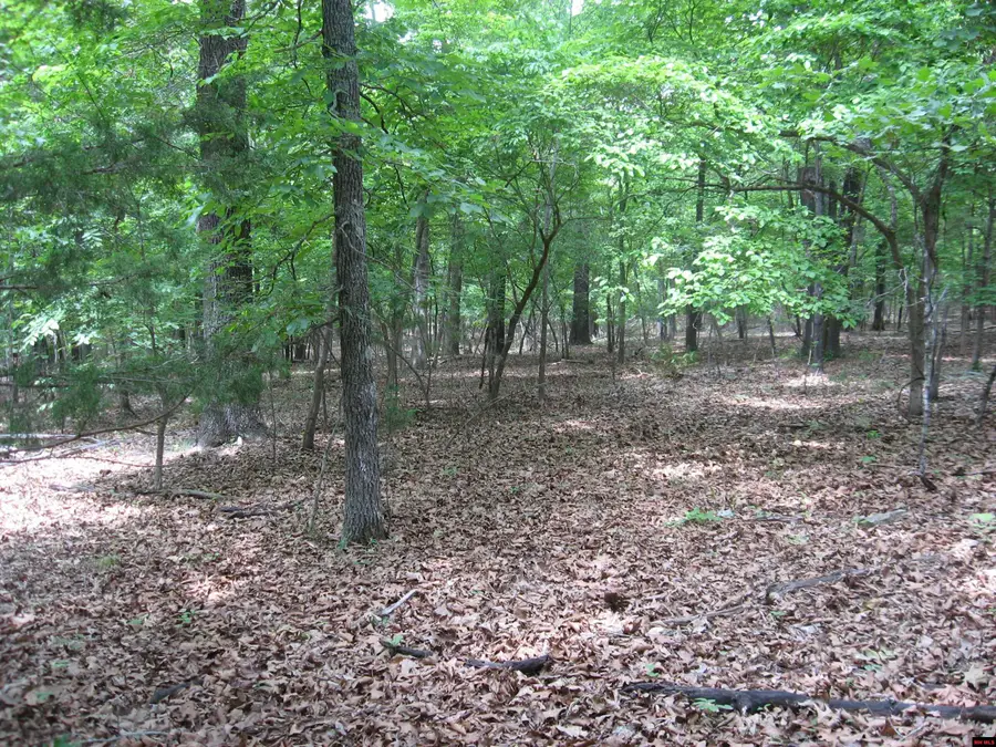 Lot 7 ARAPAHO DRIVE, Clarkridge, AR 72623 - #3