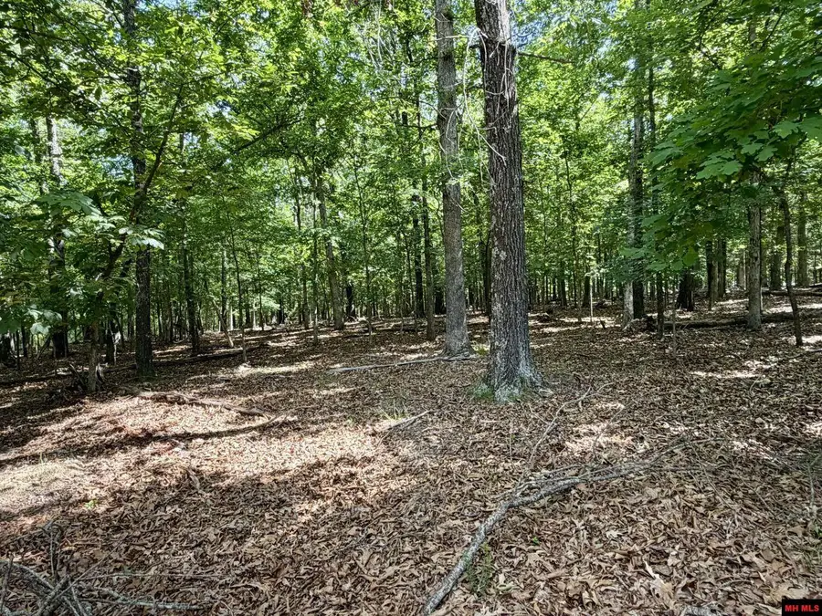 205-00001-000 FROST POINT ROAD, Yellville, AR 72687 - #3
