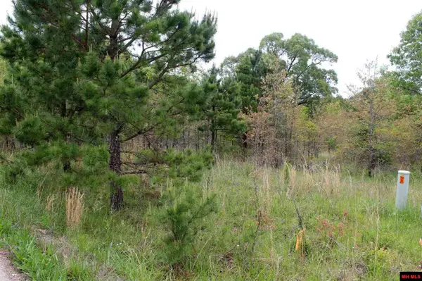 Lot 25 FARMER CIRCLE, Salesville, AR 72653