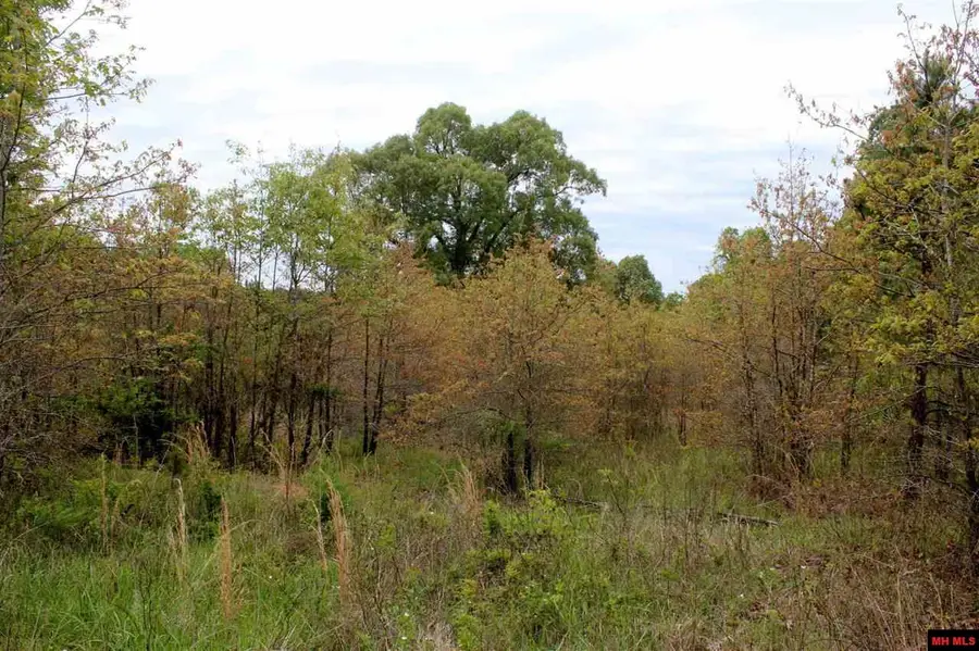 Lot 25 FARMER CIRCLE, Salesville, AR 72653 - #3