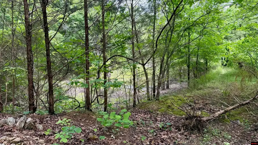 1027 BLUE WING ROAD, Mountain Home, AR 72653 - #2